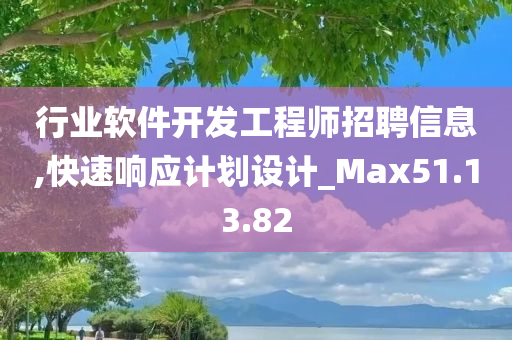 行业软件开发工程师招聘信息,快速响应计划设计_Max51.13.82