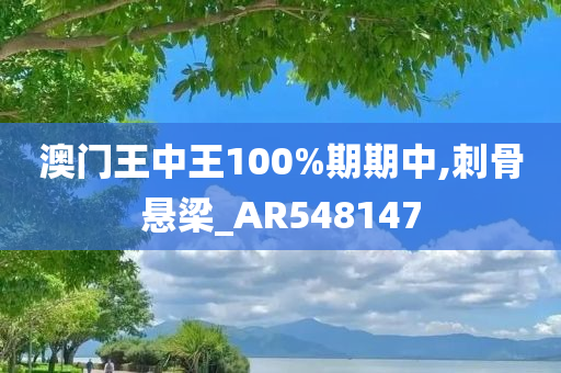 澳门王中王100%期期中,刺骨悬梁_AR548147