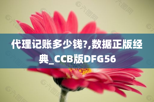 代理记账多少钱?,数据正版经典_CCB版DFG56