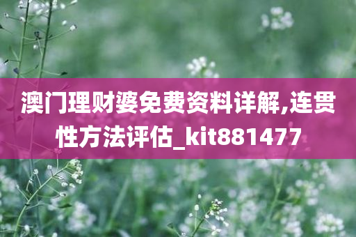 澳门理财婆免费资料详解,连贯性方法评估_kit881477