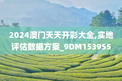 2024澳门天天开彩大全,实地评估数据方案_9DM153955