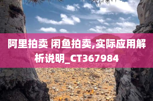 阿里拍卖 闲鱼拍卖,实际应用解析说明_CT367984