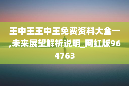 王中王王中王免费资料大全一,未来展望解析说明_网红版964763