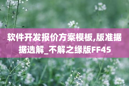 软件开发报价方案模板,版准据据选解_不解之缘版FF45