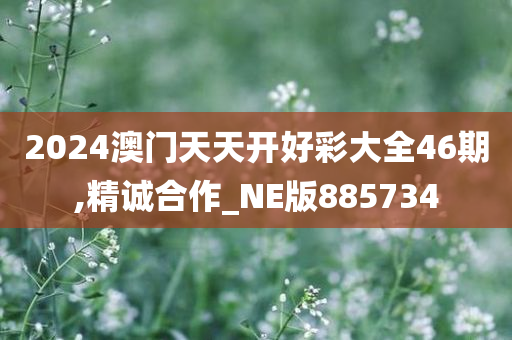 2024澳门天天开好彩大全46期,精诚合作_NE版885734