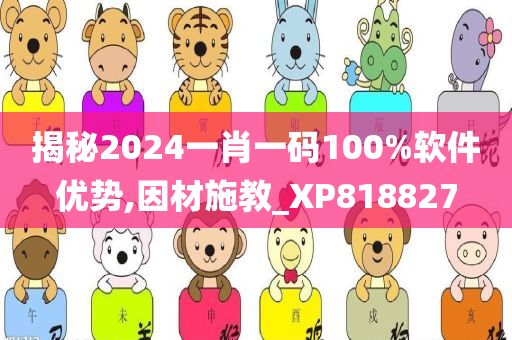 揭秘2024一肖一码100%软件优势,因材施教_XP818827