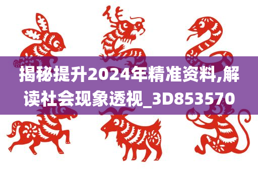 揭秘提升2024年精准资料,解读社会现象透视_3D853570