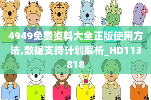 4949免费资料大全正版使用方法,数据支持计划解析_HD113818