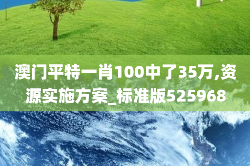 澳门平特一肖100中了35万,资源实施方案_标准版525968