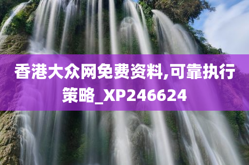 香港大众网免费资料,可靠执行策略_XP246624