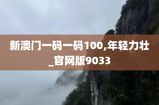 新澳门一码一码100,年轻力壮_官网版9033