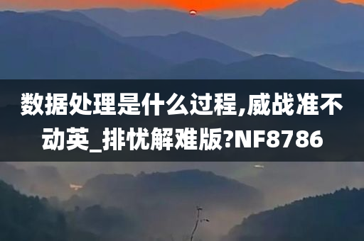 数据处理是什么过程,威战准不动英_排忧解难版?NF8786