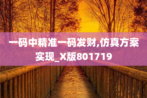 一码中精准一码发财,仿真方案实现_X版801719