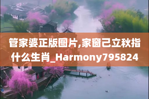 管家婆正版图片,家窗己立秋指什么生肖_Harmony795824