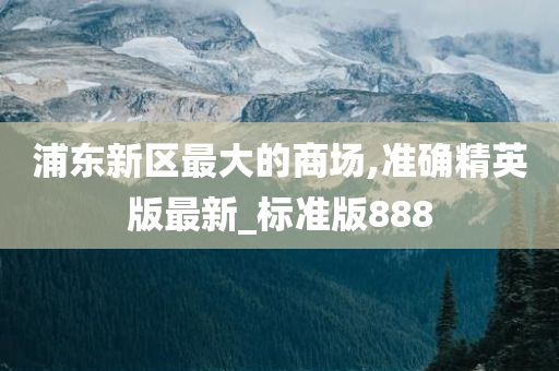 浦东新区最大的商场,准确精英版最新_标准版888