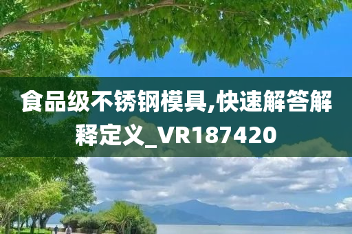 食品级不锈钢模具,快速解答解释定义_VR187420