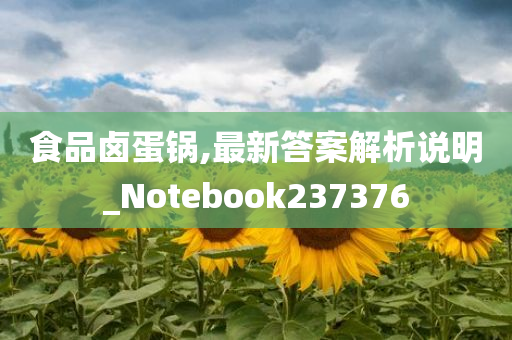 食品卤蛋锅,最新答案解析说明_Notebook237376