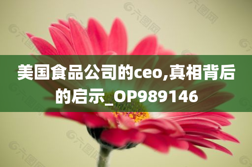 美国食品公司的ceo,真相背后的启示_OP989146