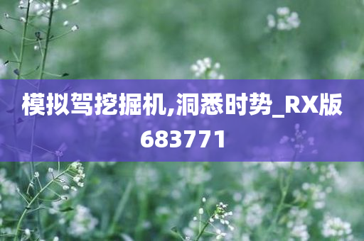 模拟驾挖掘机,洞悉时势_RX版683771