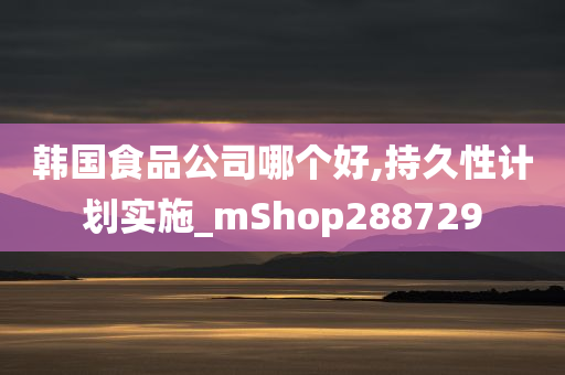 韩国食品公司哪个好,持久性计划实施_mShop288729