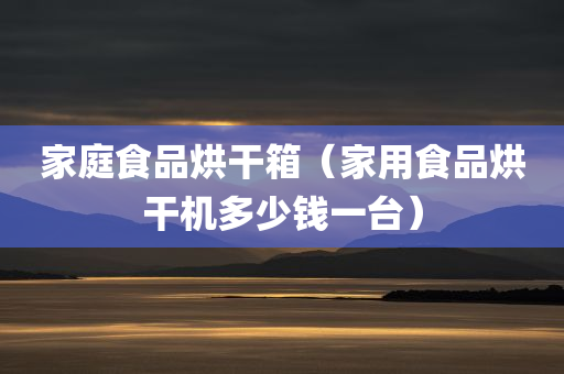 家庭食品烘干箱（家用食品烘干机多少钱一台）