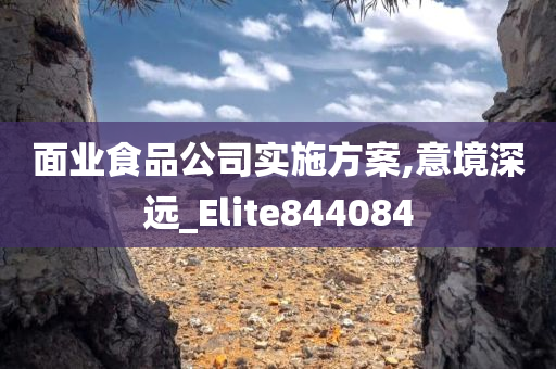 面业食品公司实施方案,意境深远_Elite844084