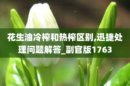 花生油冷榨和热榨区别,迅捷处理问题解答_副官版1763