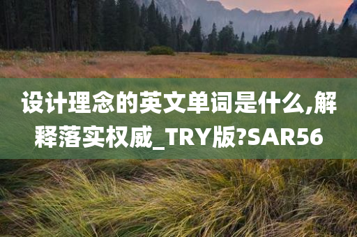 设计理念的英文单词是什么,解释落实权威_TRY版?SAR56