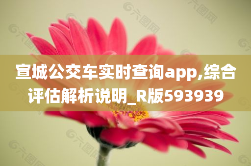 宣城公交车实时查询app,综合评估解析说明_R版593939