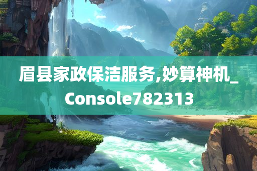 眉县家政保洁服务,妙算神机_Console782313