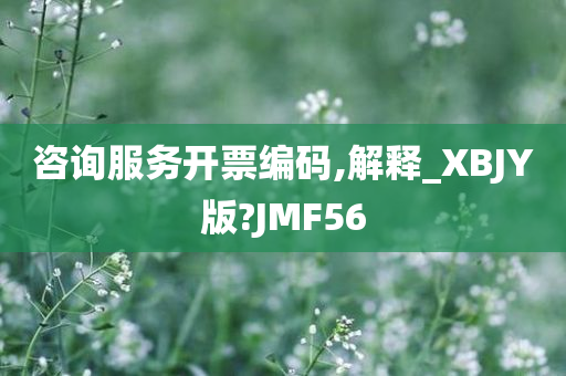 咨询服务开票编码,解释_XBJY版?JMF56