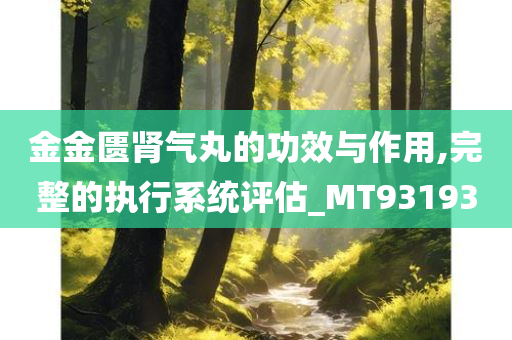 金金匮肾气丸的功效与作用,完整的执行系统评估_MT931930