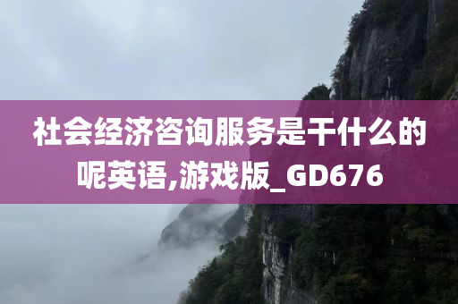 社会经济咨询服务是干什么的呢英语,游戏版_GD676