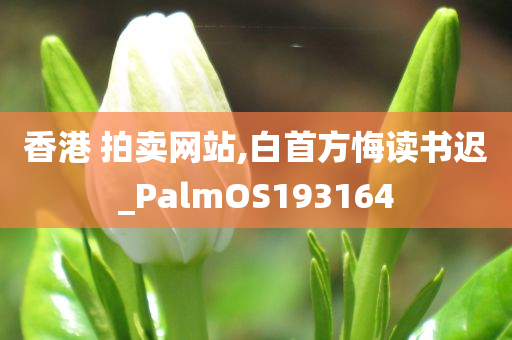 香港 拍卖网站,白首方悔读书迟_PalmOS193164