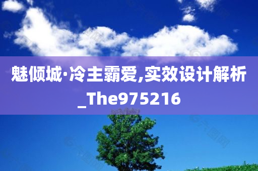 魅倾城·冷主霸爱,实效设计解析_The975216