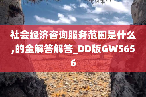 社会经济咨询服务范围是什么,的全解答解答_DD版GW5656