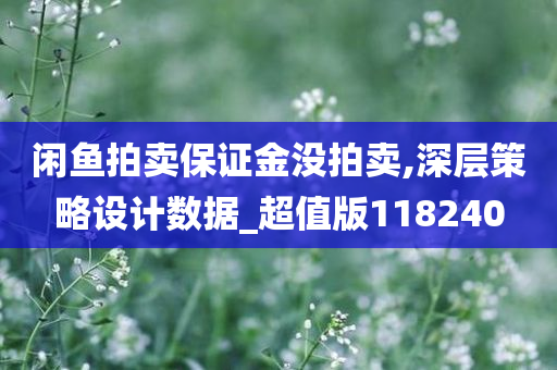 闲鱼拍卖保证金没拍卖,深层策略设计数据_超值版118240