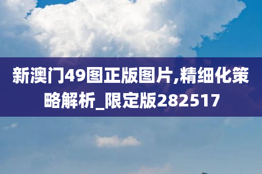 新澳门49图正版图片,精细化策略解析_限定版282517