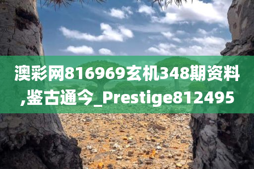 澳彩网816969玄机348期资料,鉴古通今_Prestige812495