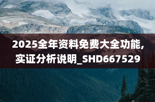 2025全年资料免费大全功能,实证分析说明_SHD667529