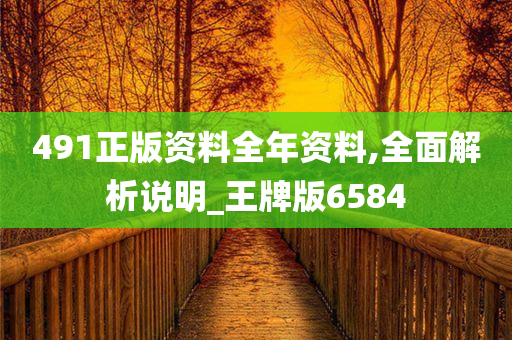 491正版资料全年资料,全面解析说明_王牌版6584