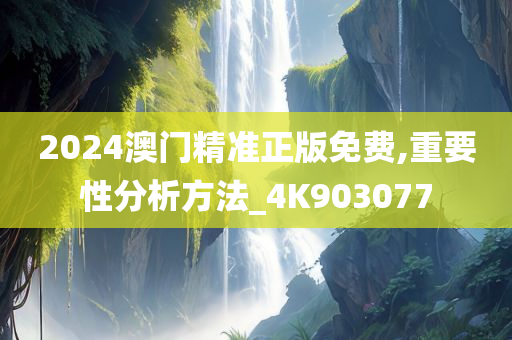 2024澳门精准正版免费,重要性分析方法_4K903077