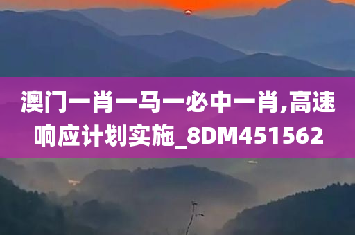 澳门一肖一马一必中一肖,高速响应计划实施_8DM451562