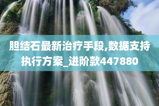 胆结石最新治疗手段,数据支持执行方案_进阶款447880