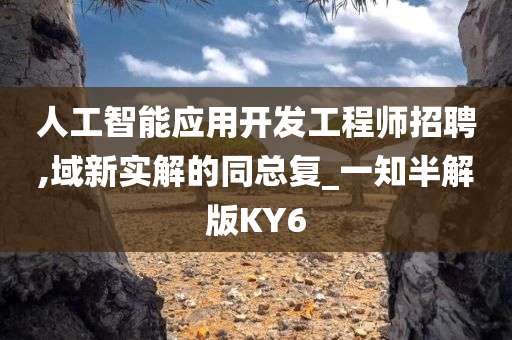 人工智能应用开发工程师招聘,域新实解的同总复_一知半解版KY6