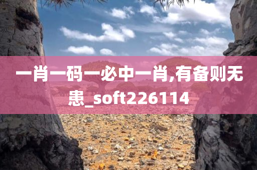 一肖一码一必中一肖,有备则无患_soft226114