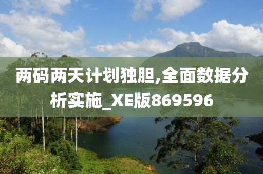 两码两天计划独胆,全面数据分析实施_XE版869596