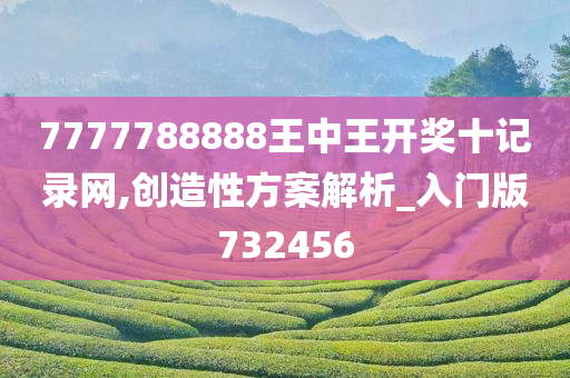 7777788888王中王开奖十记录网,创造性方案解析_入门版732456