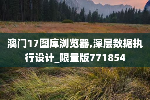 澳门17图库浏览器,深层数据执行设计_限量版771854