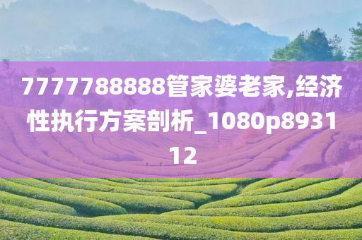 7777788888管家婆老家,经济性执行方案剖析_1080p893112